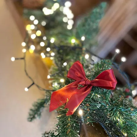 Semesterbostad Les De - Le *