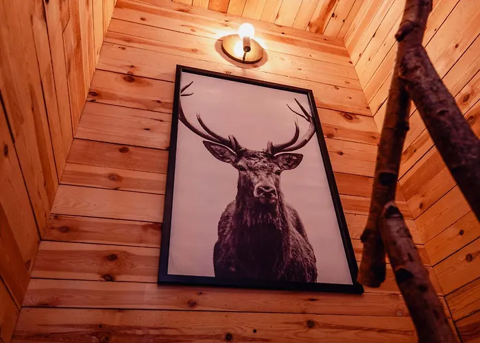 Les De - Le בית נופש ספרימונט